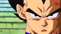 /album/fotogaleria/vegeta-ova-2-jpg/